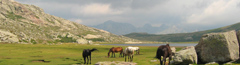 balade en corse haute