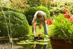 jardin drome