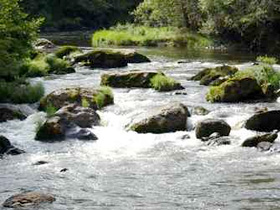 allier 