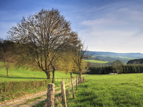 Champagne Ardenne