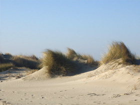 en camargue