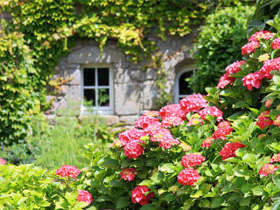 ile de brehat