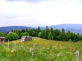 vosges 88
