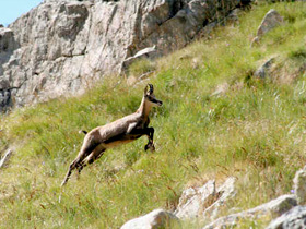 parc du mercantour 
