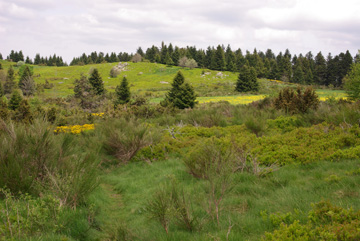 village prelager dans le pilat