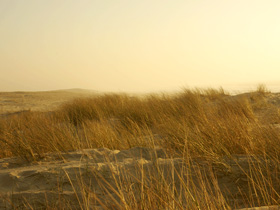 dunes landes