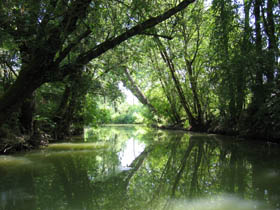 Poitou Charente