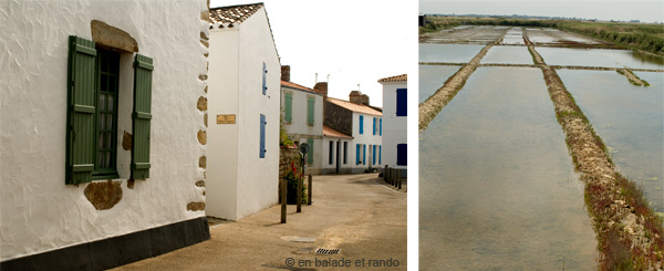 salins vend&eacute;e
